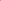 Neon Pink - Spuntaneous