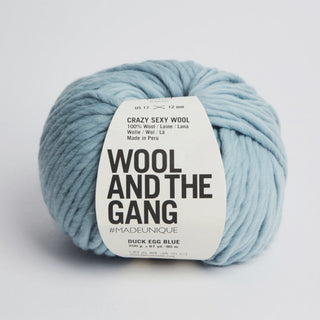 Wool and the Gang | Crazy Sexy Wool | Duck Egg Blue