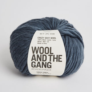 Wool and the Gang | Crazy Sexy Wool | Eagle Grey