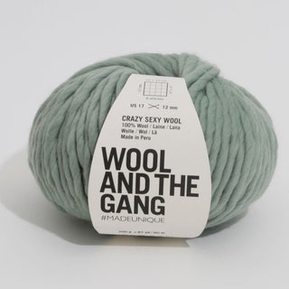 Wool and the Gang | Crazy Sexy Wool | Eucalyptus Green