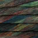 Malabrigo Sock - Pocion-2