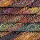 Malabrigo Sock - Diana-2
