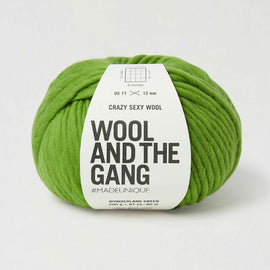 Green skein of yarn with 'Wool and the Gang' label on a white background