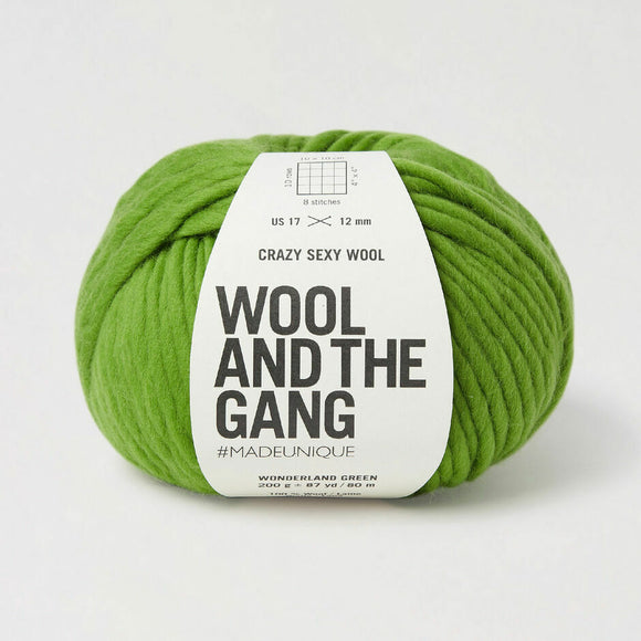 Green skein of yarn with 'Wool and the Gang' label on a white background