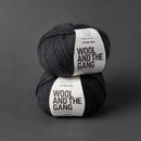 Two skeins of yarn with 'Wool and the Gang' labels on a gray background