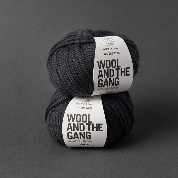 Two skeins of yarn with 'Wool and the Gang' labels on a gray background