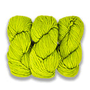 Malabrigo Rasta - Apple Green-2