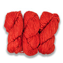 Malabrigo Rasta - Fiesta-2