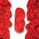 Malabrigo Rasta - Fiesta-1