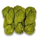 Malabrigo Rasta - Lettuce-2