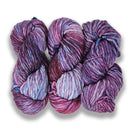 Malabrigo Rasta - Lotus-2