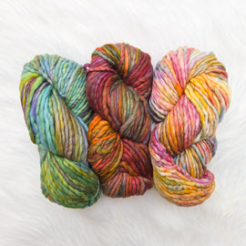 Malabrigo Rasta Single Lot Bundle 21