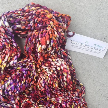 Malabrigo Caracol - Intense - 0
