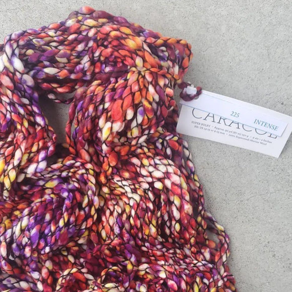 Malabrigo Caracol - Intense