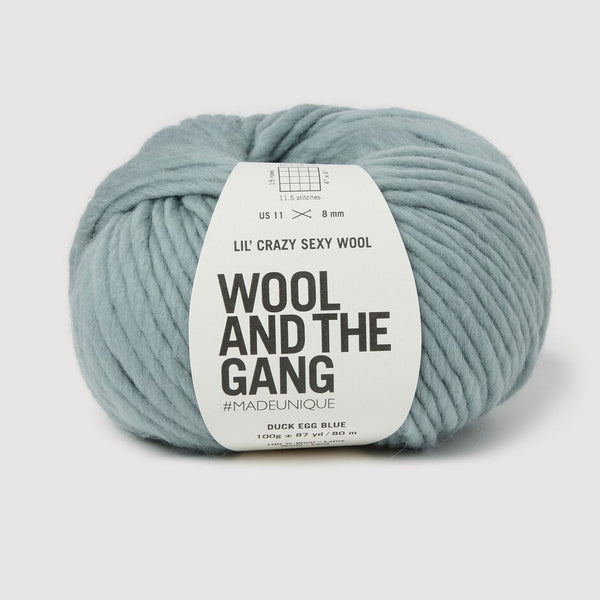 Duck Egg Blue - Lil' Crazy Sexy Wool
