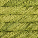 Malabrigo Rios - Apple Green-2