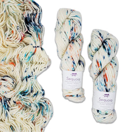 Baah Yarn Sequoia - Berry Swirl