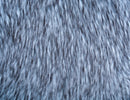 Blue Steel faux fur laid down flat.  An icy light blue long pile fake fur fabric.