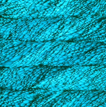Malabrigo Caracol - Cian - 0