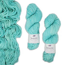 Baah Yarn Sequoia - Dance Teal Dawn