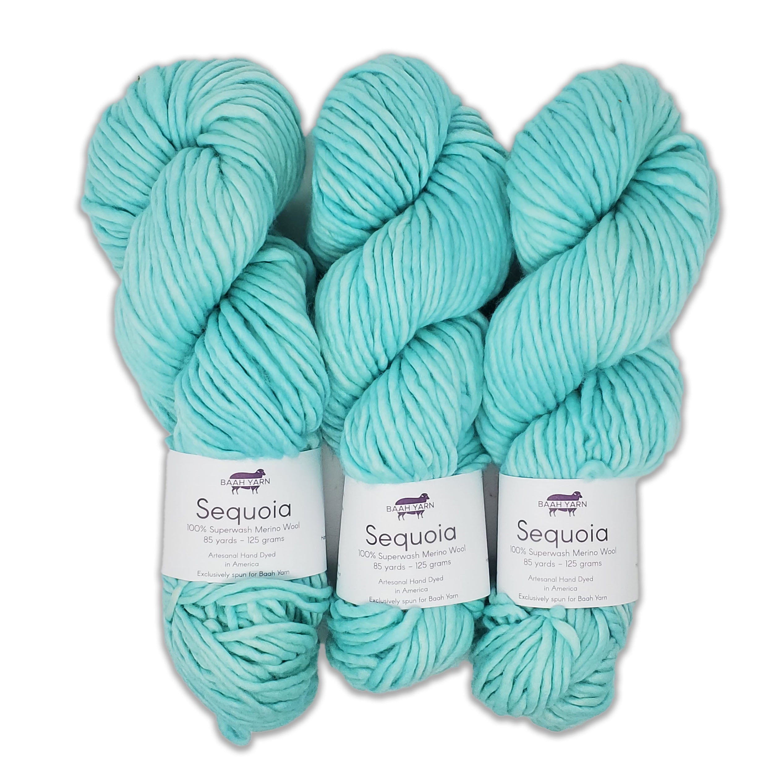 Baah Yarn Sequoia - Dance Teal Dawn - 0