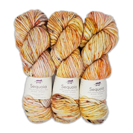 Baah Yarn Sequoia - Here Comes the Sun - 0