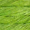 Malabrigo Rasta - Apple Green-3