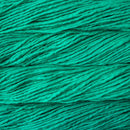 Malabrigo Rasta - Bahamas Green-3