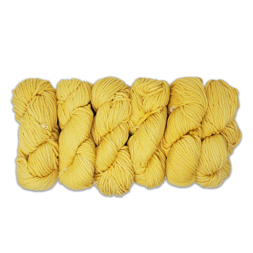 Malabrigo Chunky - Pollen - 0