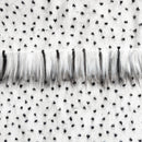 Backing of quartz faux fur fabric showing the long pile length of the fake fur. Quartz is a white faux fur with black tips running throughout.