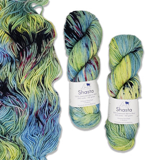 Dragon Tail - Shasta Worsted