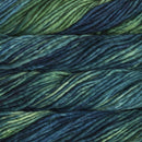 Malabrigo Rasta - Solis-3