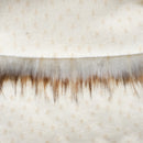 Vanilla Fake Fur Faux Fur Fabric by the Metre / Yard (2022 LOT)-3